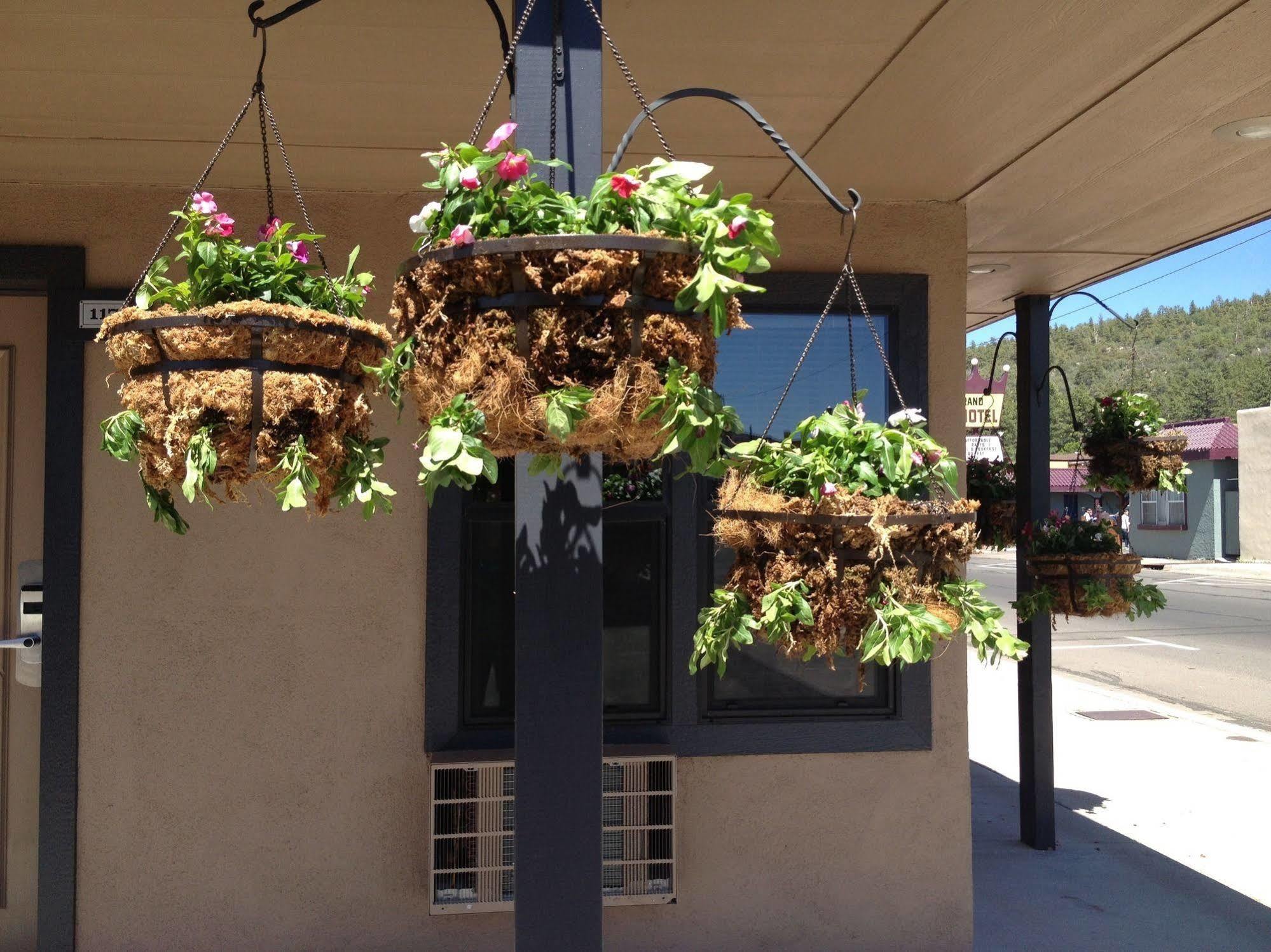 Rodeway Inn & Suites Williams Downtowner-Rte 66 Екстериор снимка